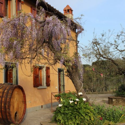 Pranzo all'Azienda agricola Roncigliano