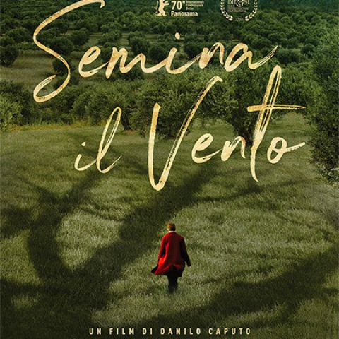 Semina il vento