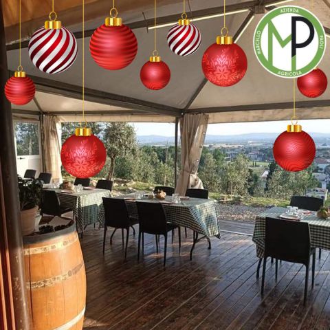 Il pranzo degli auguri