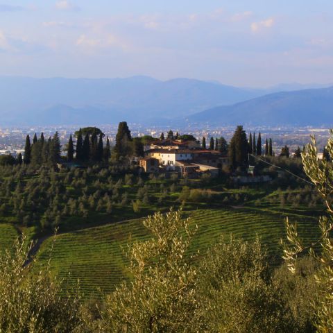 Visita alla Fattoria Poggio Arioso