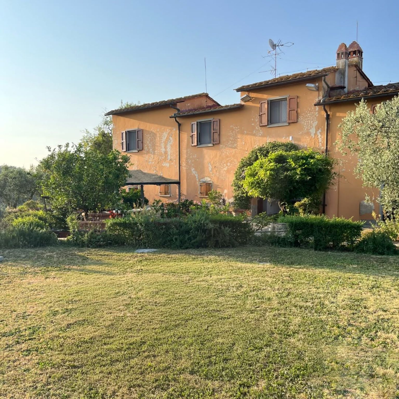 Assaggio di vita in campagna...Una giornata a vendemmiare