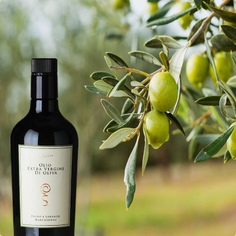 E' arrivato l'olio novo!